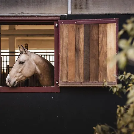 Cossetti Ranch Winery 여관 *